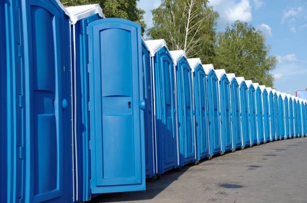 Best Sanitation services for porta potties  in Adrian, MN